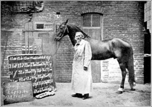 Wilhem von Osten e seu cavalo Hans, em Berlim, 1904